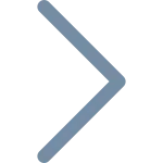 Chevron Right SVG Icon